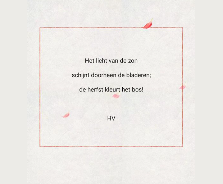 Haiku: het licht van de zon